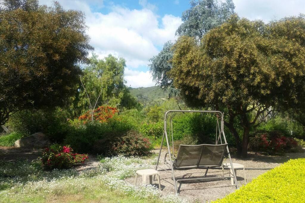 ויסטה Castlegate Guest Apartment מראה חיצוני תמונה