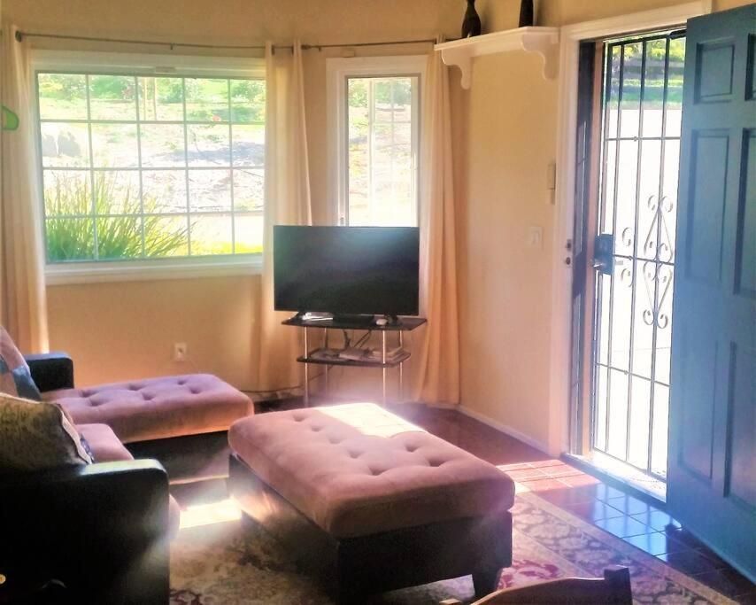 ויסטה Castlegate Guest Apartment מראה חיצוני תמונה