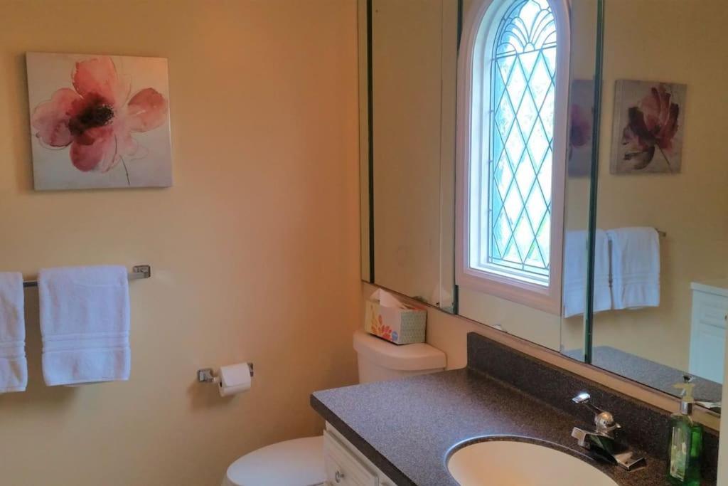 ויסטה Castlegate Guest Apartment מראה חיצוני תמונה